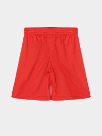 Шорты Reebok модель S9038RB4_BLACK/RED Фото