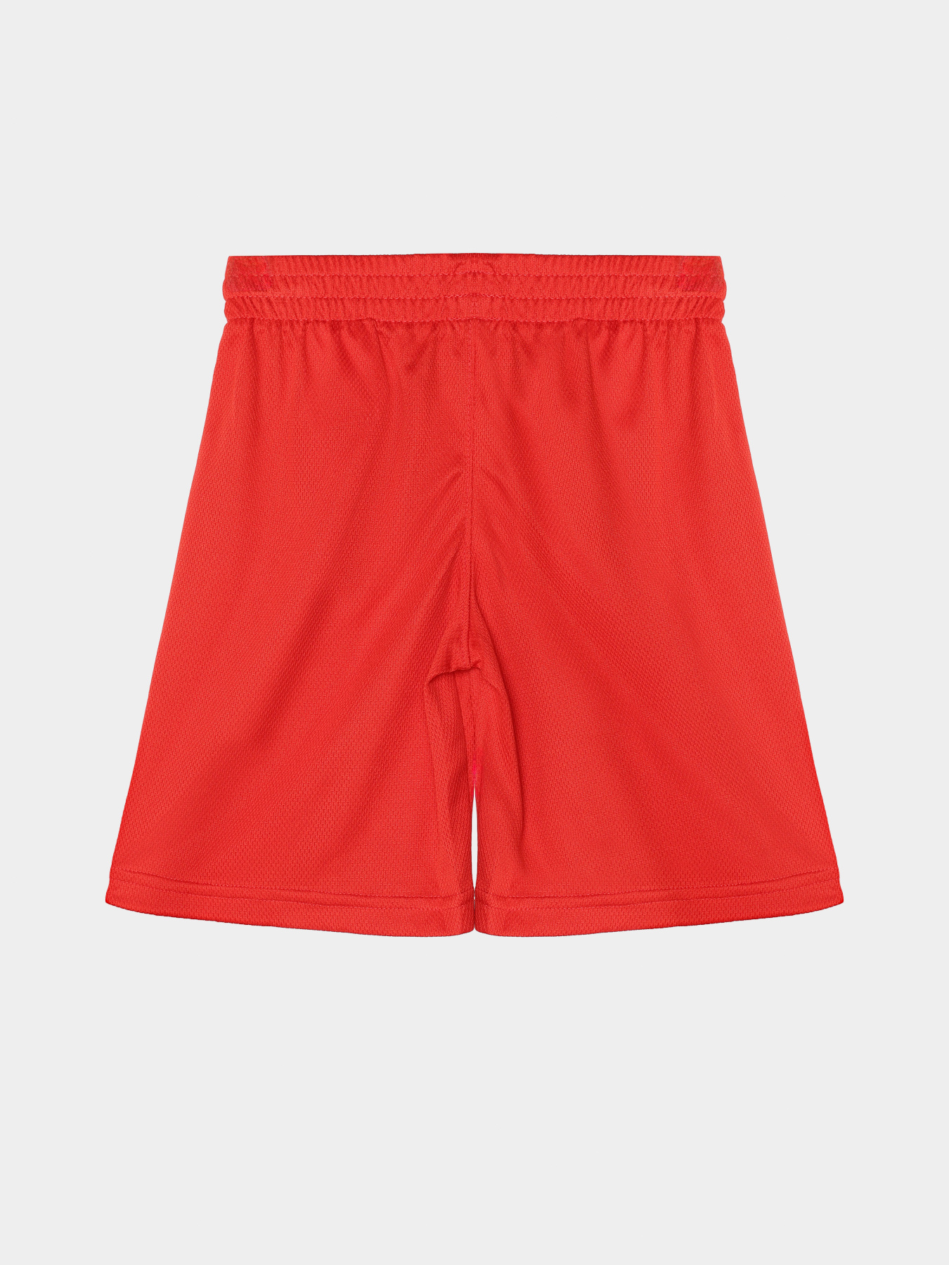 Повседневные шорты Reebok модель S9038RB4_BLACK/RED Фото