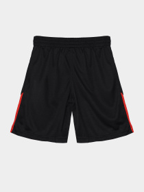 Повседневные шорты Reebok модель S9038RB4_BLACK/RED Фото