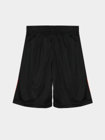 Шорти Reebok модель S9038RB8_BLACK/RED Фото