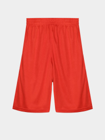 Повседневные шорты Reebok модель S9038RB8_BLACK/RED Фото