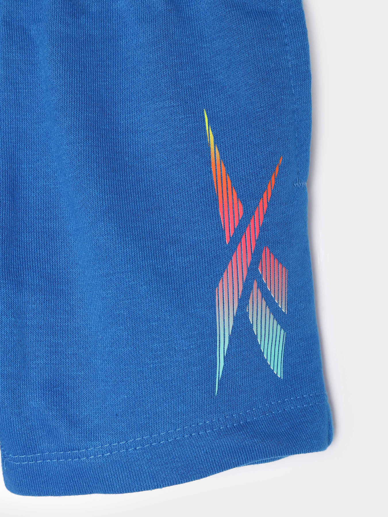 Повседневные шорты Reebok модель S9193RB2_BLUE Фото