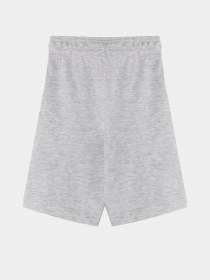 Повседневные шорты Reebok модель S9193RB4_GREY Фото