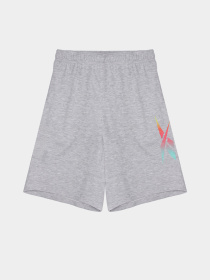 Повсякденні шорти Reebok модель S9193RB8_GREY Фото