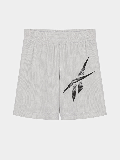Повсякденні шорти Reebok модель S9938RB_GRAY Фото