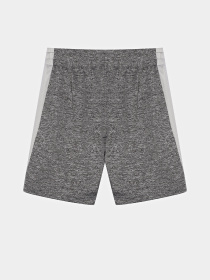 Повсякденні шорти Reebok модель S9938RB_GRAY Повсякденні шорти Reebok модель S9938RB_GRAY Фото