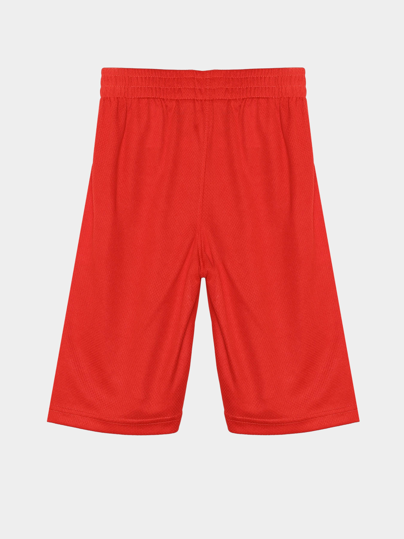 Шорты Reebok модель S9938RB4_NAVY BLUE/RED Фото