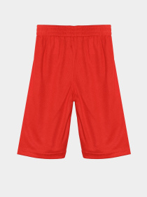 Шорты Reebok модель S9938RB4_NAVY BLUE/RED Фото