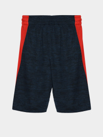 Повсякденні шорти Reebok модель S9938RB4_NAVY BLUE/RED Фото