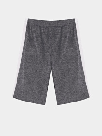 Повседневные шорты Reebok модель S9938RB8_BLUE/WHITE Фото