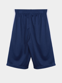 Повсякденні шорти Reebok модель S9939RB8_BLUE Фото