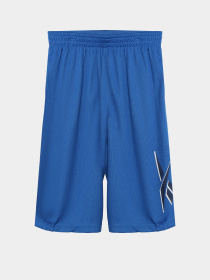 Повсякденні шорти Reebok модель S9939RB8_BLUE Фото
