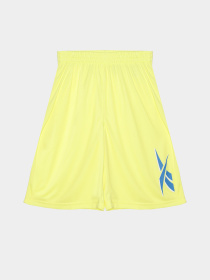 Повседневные шорты Reebok модель S9939RB8_MULTICOLOR Фото