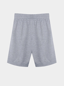 Шорты Reebok модель S9979RB4_GRAY/BLACK Фото