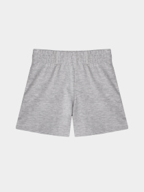 Повсякденні шорти Reebok модель S9981RB2_GRAY Фото