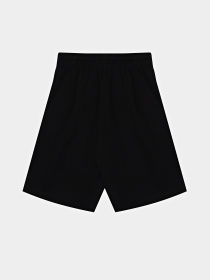 Повседневные шорты Reebok модель S9981RB8_BLACK Фото