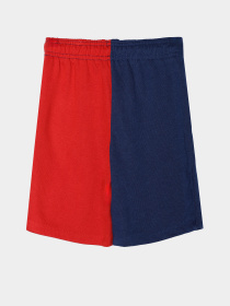 Шорти Reebok модель S9982RB4_MULTICOLOR Фото