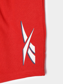 Повседневные шорты Reebok модель S9982RB4_MULTICOLOR Фото