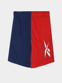 Шорты Reebok модель S9982RB8_MULTICOLOR Фото