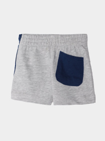 Шорти Reebok модель S9983RB2_GRAY Фото