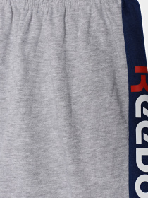 Шорты Reebok модель S9983RB8_GREY Фото