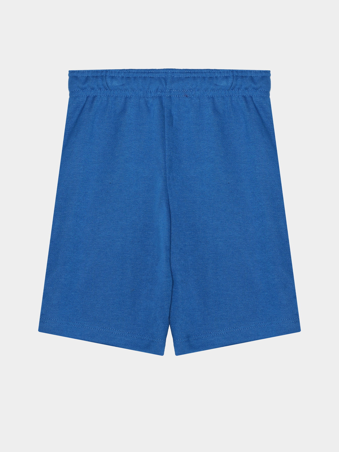 Повседневные шорты Reebok модель S9989RB4_BLUE Фото