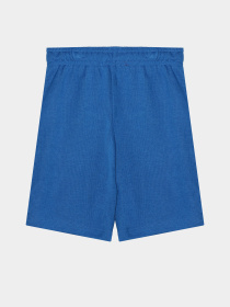 Повседневные шорты Reebok модель S9989RB4_BLUE Фото