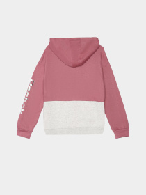 Худи Reebok модель Q4947RG_PINK Фото