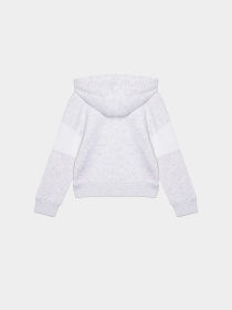 Повсякденний костюм Reebok модель B4326RG1_GRAY Фото