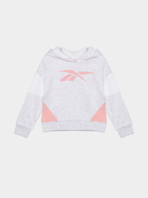 Повсякденний костюм Reebok модель B4326RG4_GRAY Фото