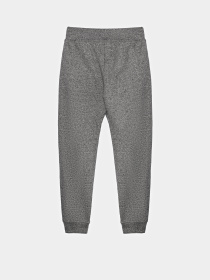 Повсякденний костюм Reebok модель B4358RG_GREY Фото