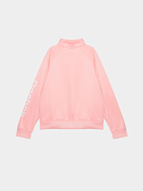 Повсякденний костюм Reebok модель B4637RG_PINK/DREY Фото