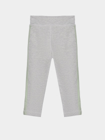 Повсякденний костюм Reebok модель B4840RG7_GREY/GREEN Фото