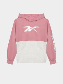 Повсякденний костюм Reebok модель B4859RG7_MULTICOLOR Фото