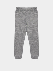 Повсякденний костюм Reebok модель B9093RB4_GREY Фото