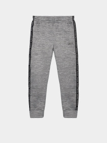 Повсякденний костюм Reebok модель B9093RB4_GREY Фото