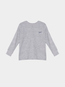 Повседневный костюм Reebok модель B9100RB1_MULTICOLOR Повседневный костюм Reebok модель B9100RB1_MULTICOLOR Фото