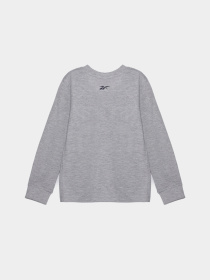 Повсякденний костюм Reebok модель B9683RB_MIX Фото