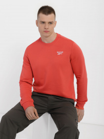 Свитшот Reebok Identity модель H54483 Фото