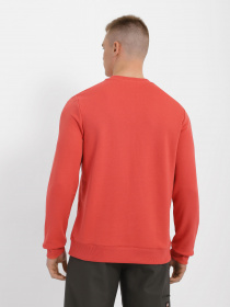 Світшот Reebok Identity модель H54483 Фото