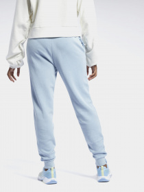 Штаны спортивные Reebok CLASSICS NATURAL DYE модель GP7887 Фото