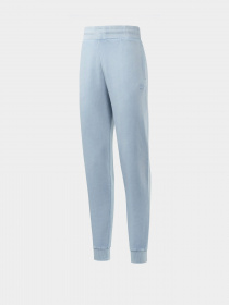 Спортивні штани Reebok CLASSICS NATURAL DYE модель GP7887 Фото