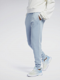 Спортивні штани Reebok CLASSICS NATURAL DYE модель GP7887 Фото