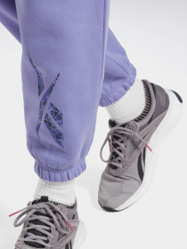 Штаны спортивные Reebok MODERN SAFARI модель GU0151 Фото