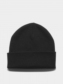 Шапка Reebok Logo модель EC5587 Фото