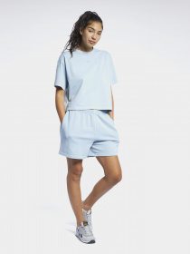 Футболки и поло Reebok CLASSICS NATURAL DYE модель GP7888 Фото