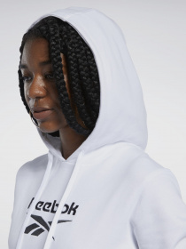 Худи Reebok CLASSICS FOUNDATION FRENCH TERRY модель GL5176 Фото