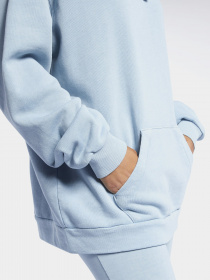 Худи Reebok CLASSICS NATURAL DYE модель GN4925 Фото