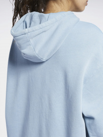 Худи Reebok CLASSICS NATURAL DYE модель GN4925 Фото