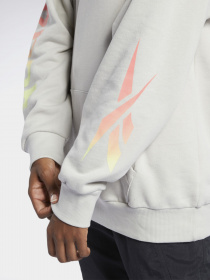 Худи Reebok Classics Graphic Festival модель GP1270 Фото